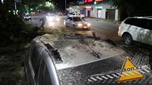 Часть дерева упала на Renault в Алматы и проломила крышу