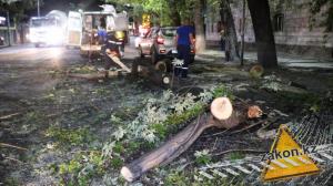 Часть дерева упала на Renault в Алматы и проломила крышу