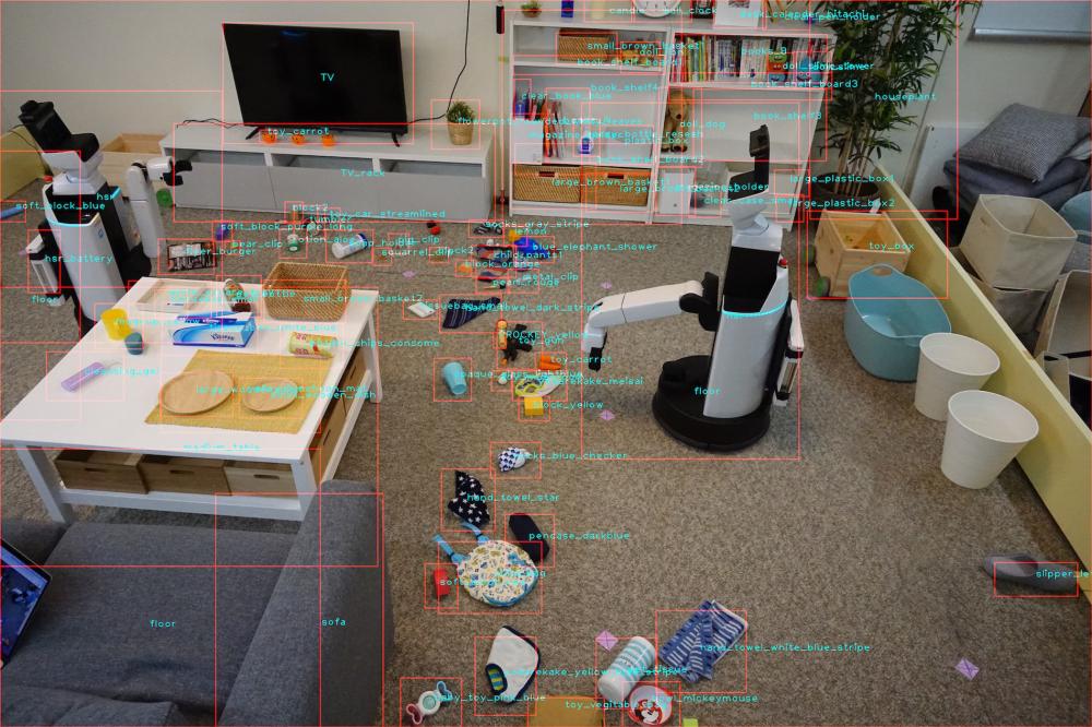 Human Support Robot