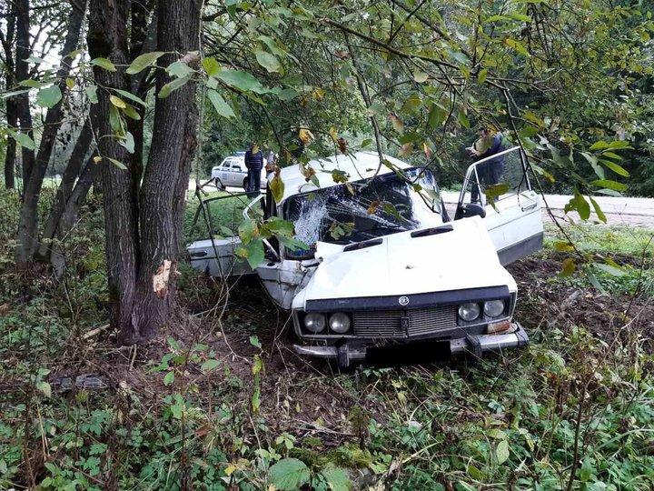 Под Витебском «жигули» врезались в дерево: погиб водитель, пострадали два пассажира