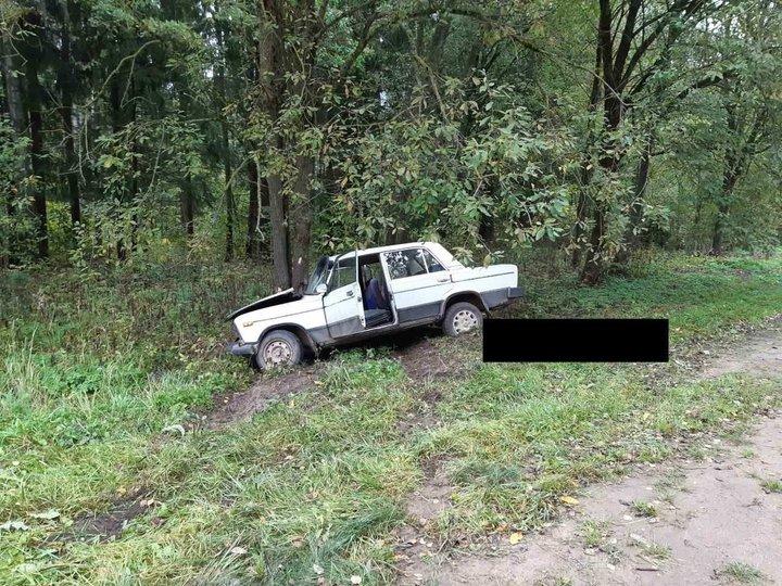 Под Витебском &laquo;жигули&raquo; врезались в дерево: погиб водитель, пострадали два пассажира