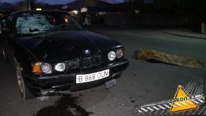 Еще один пешеход погиб под колесами автомобиля