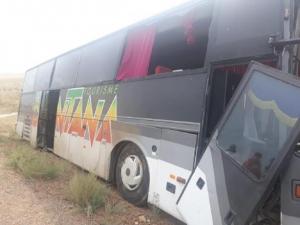 ДТП со школьным автобусом из-за лошади произошло в Алматинской области