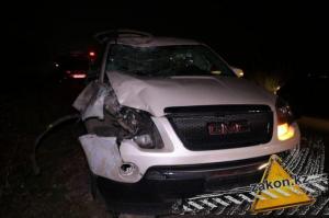 Автомобиль сбил насмерть всадника в Алматы