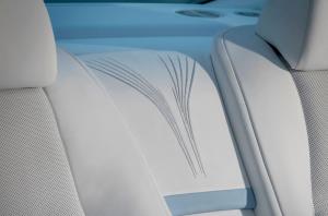 На потолке Rolls-Royce Wraith целый месяц вышивали сапсана