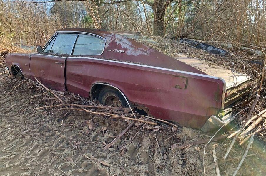 В лесу обнаружили кладбище полувековых Dodge Charger