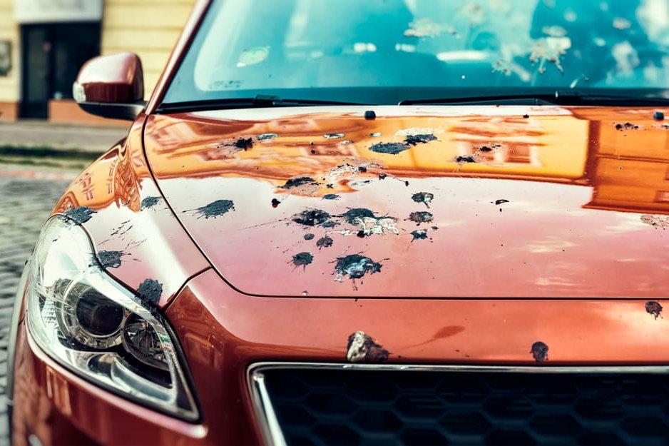 Почему птичий помет разъедает краску на машине