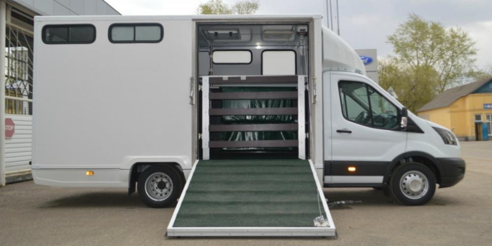 Российский Ford Transit переделали для перевозки лошадей