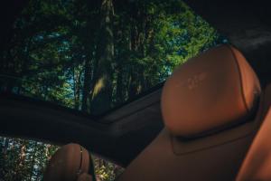 Bentley Continental GT получил новый руль