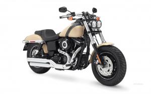 Классика Harley-Davidson толстый Боб, для путешествий