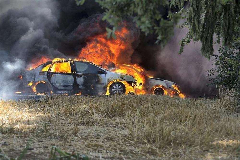 В Шотландии из-за птиц сгорели автомобили