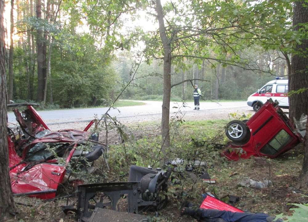 Под Гомелем VW разорвало на части после наезда на дерево