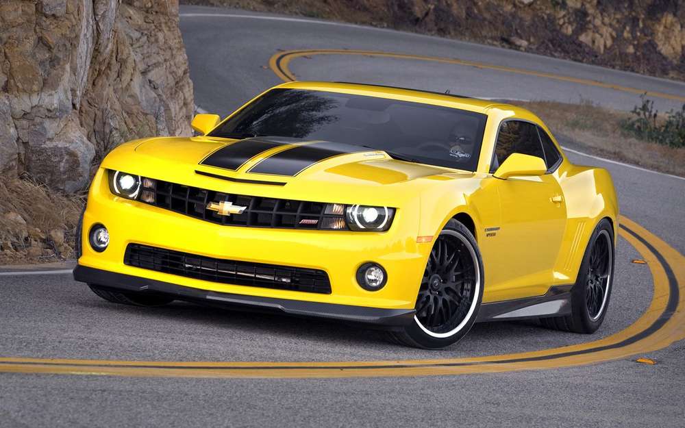Лев в зоопарке решил съесть Chevrolet Camaro