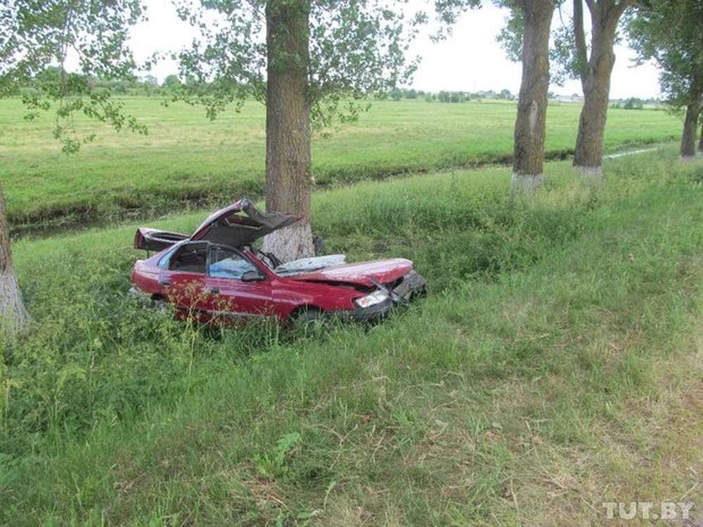 В Минской области Toyota после ДТП вылетела в дерево: водитель погиб