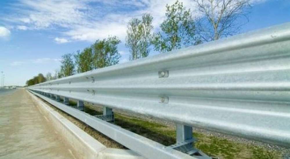 Общественники предложили построить на дорогах ограждения для животных
