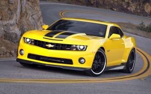 Лев в зоопарке решил съесть Chevrolet Camaro