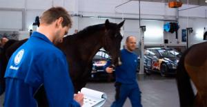 Команда Volkswagen решила компенсировать провал в гонке в Аргентине