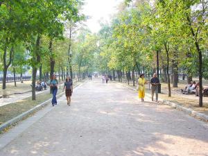 В Москве возобновятся велопрогулки по Бульварному кольцу