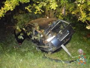 В Калинковичском районе водитель VW не справился с управлением и врезался в дерево