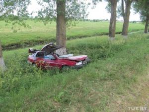 В Минской области Toyota после ДТП вылетела в дерево: водитель погиб