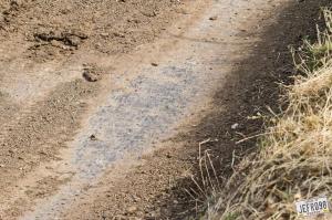 MXGP: результаты Гран При Германи 