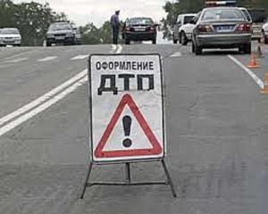 В Лепельском районе Renault насмерть сбил пастуха, который перебегал дорогу, чтобы отогнать корову