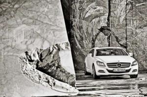 2013 Mercedes-Benz CLS-Class Shooting Brake 