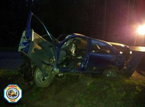 В Колодищах Fiat вылетел в кювет и врезался в дерево 