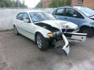 В Бресте пьяная бесправница на BMW врезалась в дерево