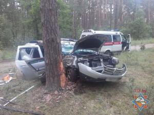 Под Гомелем Renault вылетел в кювет и врезался в дерево 