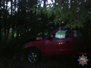 В Шкловском районе Hyundai вылетел в кювет и врезался в дерево 