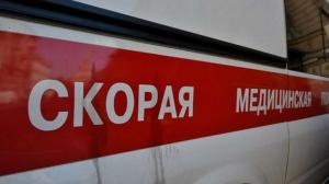 В ДТП под Волховом пострадали пятеро детей