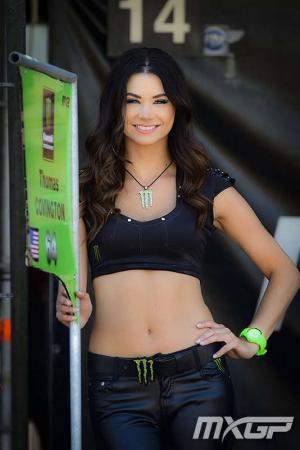 MXGP 2015 этап 14 - Ломмел Бельгия 