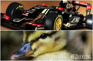 Lotus сравнил нос своего болида с утиным клювом