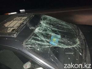 Выбежавшие на дорогу лошади спровоцировали аварию в Алматы 