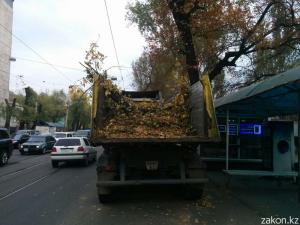 В Алматы спиленное дерево расплющило проезжавшую мимо машину
