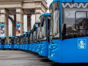 Москва купит до конца года еще 198 автобусов