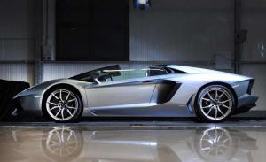 За угнанный родстер Lamborghini Aventador объявлена награда 100 000 долларов