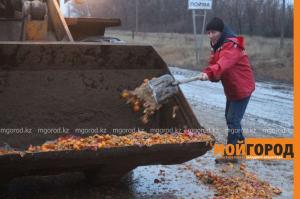 Полтонны мандаринов рассыпалось на автодороге в ЗКО