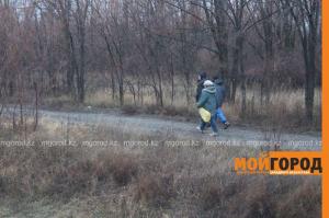 Полтонны мандаринов рассыпалось на автодороге в ЗКО