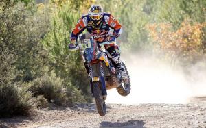 Кроссовая заводская команда Red Bull KTM на сезон 2016 года 