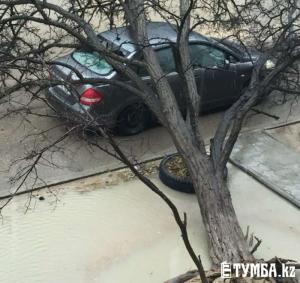 В Актау дерево упало на автомобиль с людьми