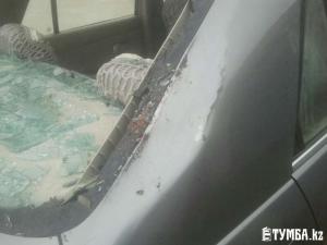 В Актау дерево упало на автомобиль с людьми 