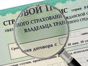 Автоинспекторы Камчатки за месяц выявили у водителей более 60 поддельных полисов ОСАГО