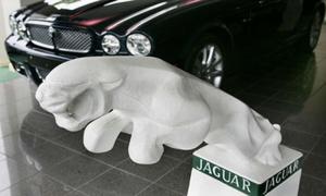 Jaguar стал брендом с самым лучшим сервисом