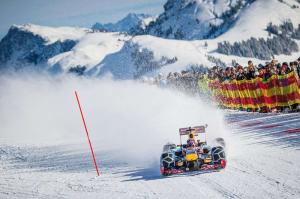 В Red Bull отрицают нарушение законов Австрии