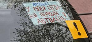 Число ДТП с участием начинающих водителей в России сократилось на четверть
