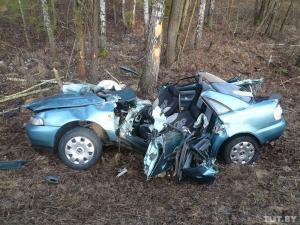 В Ветковском районе водитель Audi не справился с управлением