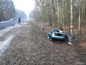 В Ветковском районе водитель Audi не справился с управлением 
