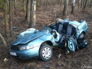 В Ветковском районе водитель Audi не справился с управлением 